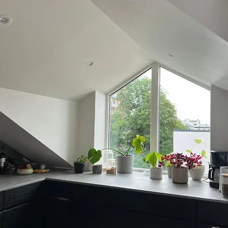 Apartment Sentral Loftsleilighet Med Solfylt Utetplass Oslo