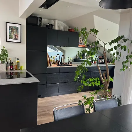 Sentral loftsleilighet med solfylt utetplass Leilighet