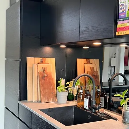 Apartment Sentral Loftsleilighet Med Solfylt Utetplass Oslo